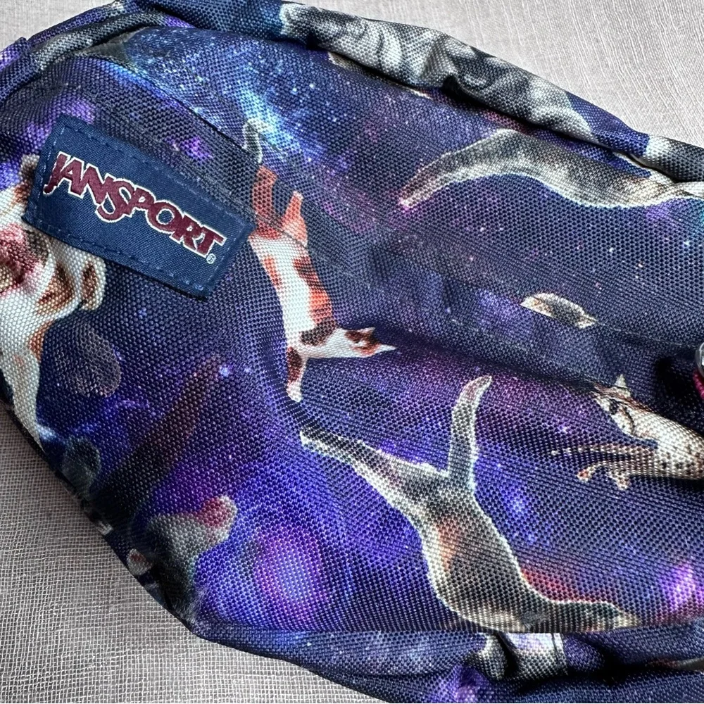 Jansport Galaxy Cat Dog Fanny Pack - Blue and Pink - Picture 2 of 8